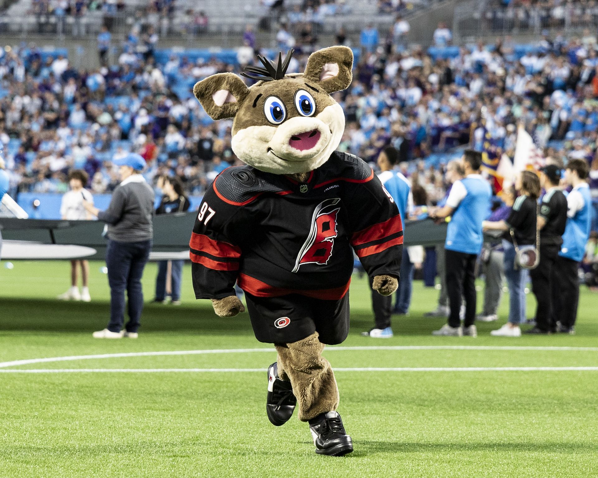 Who is Carolina Hurricanes Mascot Stormy The Ice Hog?